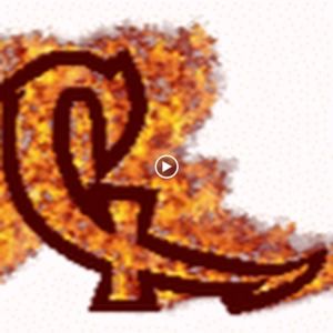 Meet your Posher, Connor